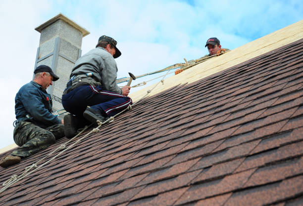 Best Metal Roofing Contractor  in Cordele, GA